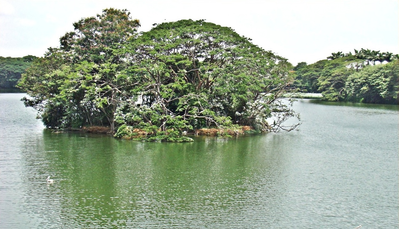 Karanji Lake Mysore